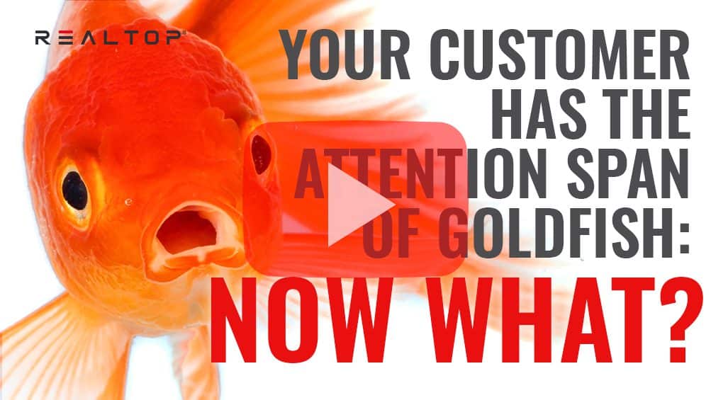 RT Thumbnail Attention Span Goldfish